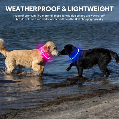 Light up Dog Collar - Waterproof LED Pet Collar Rechargeable, TPU Cuttable Glow in the Dark Dog Lights for Night Walking (Pink)