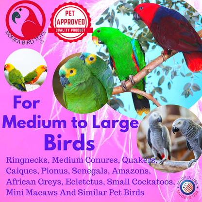 1730 Foraging Heart Medium - 9” X 6” - for Conures, Cockatiels, Parakeets, and Similar Breeds