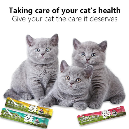 Pet Snacks Catsauce Raw Bone Meat Nutrition Tuna Beef Cat Wet Food Packs Milkshake Cat Snacks Cat Strips Pet Food Hair Beauty