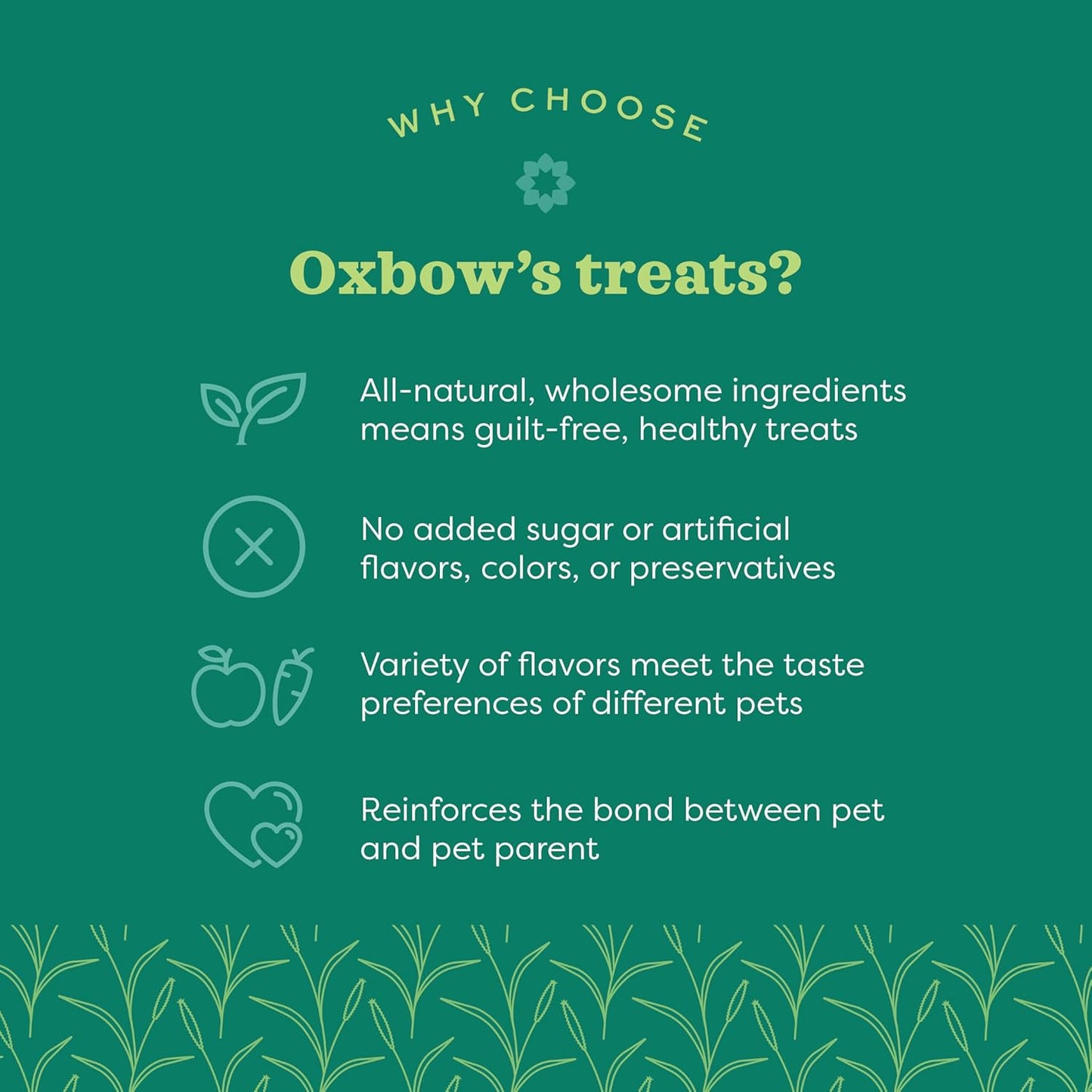 Organic Rewards Barley and Hay Biscuit Treats for Rabbits, Guinea Pigs, Chinchillas, and Small Pets