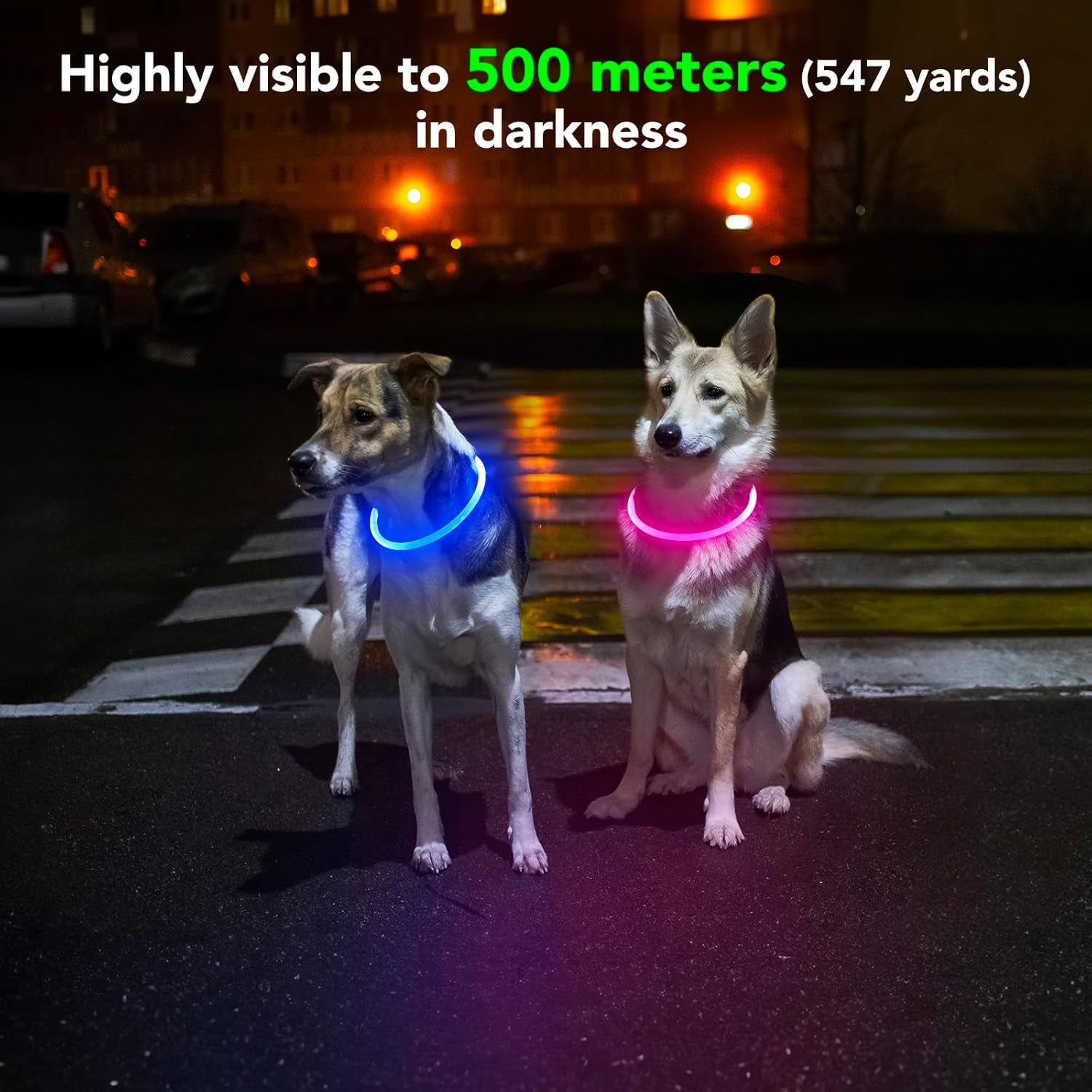 Light up Dog Collar - Waterproof LED Pet Collar Rechargeable, TPU Cuttable Glow in the Dark Dog Lights for Night Walking (Pink)