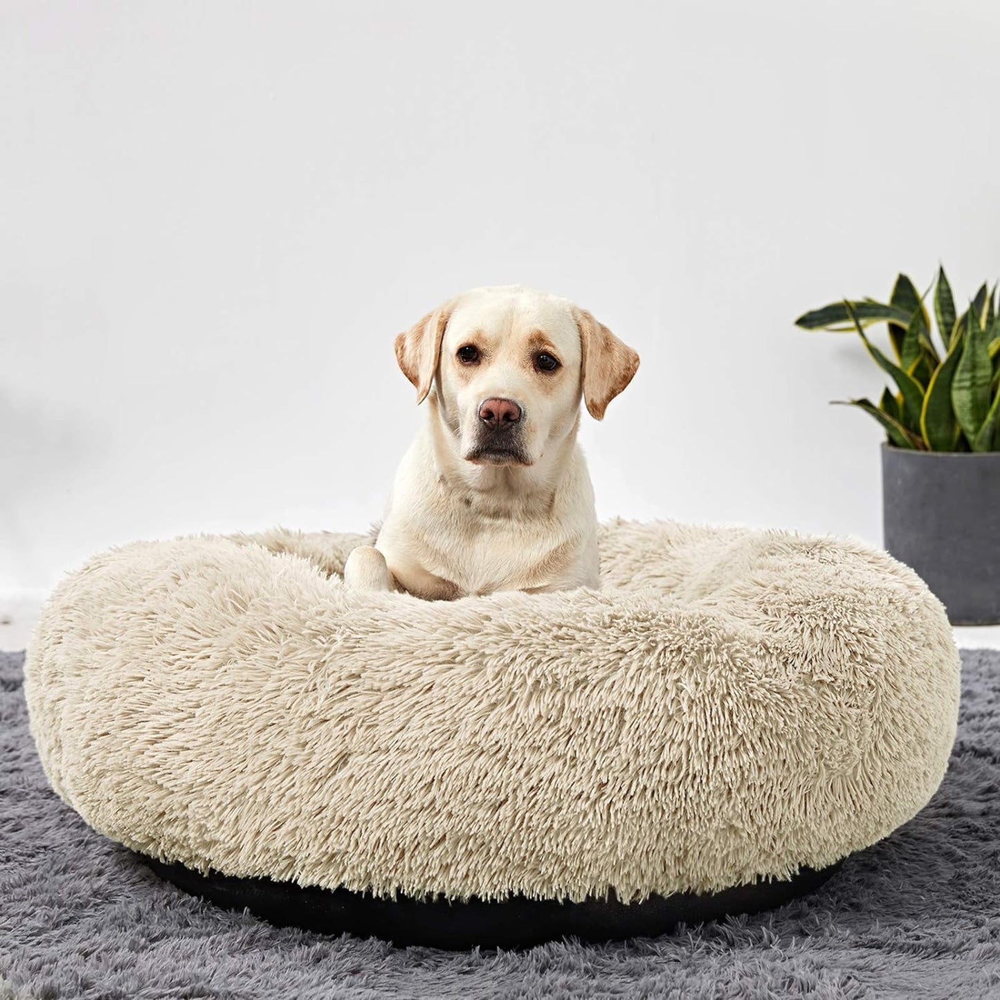 Washable Dog round Bed Large, Donut Dog Bed Large Dog, Comfy Dog Calming Cuddler Bed